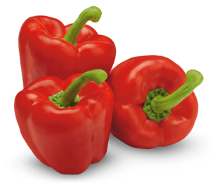Fresh Green Pepper