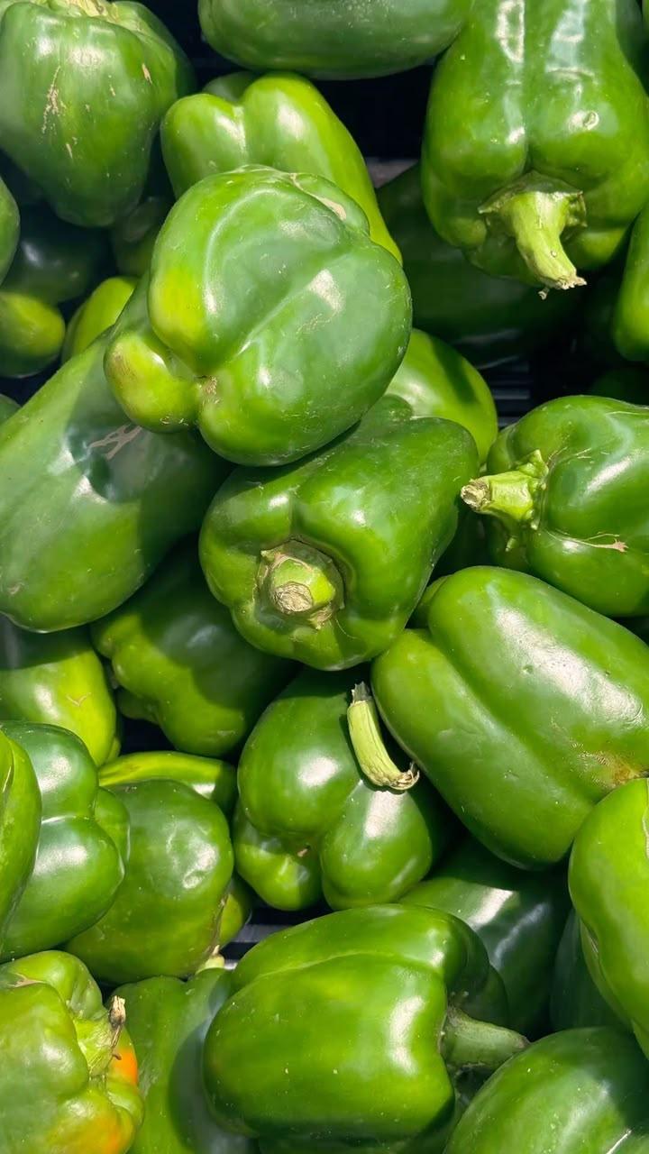 Green pepper