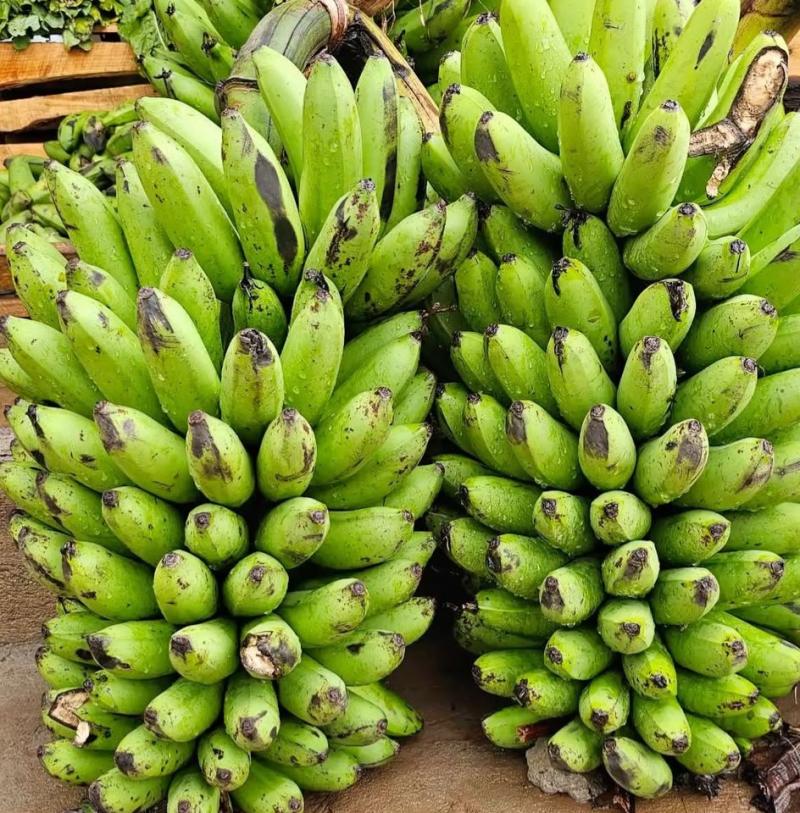Banana (Matooke)
