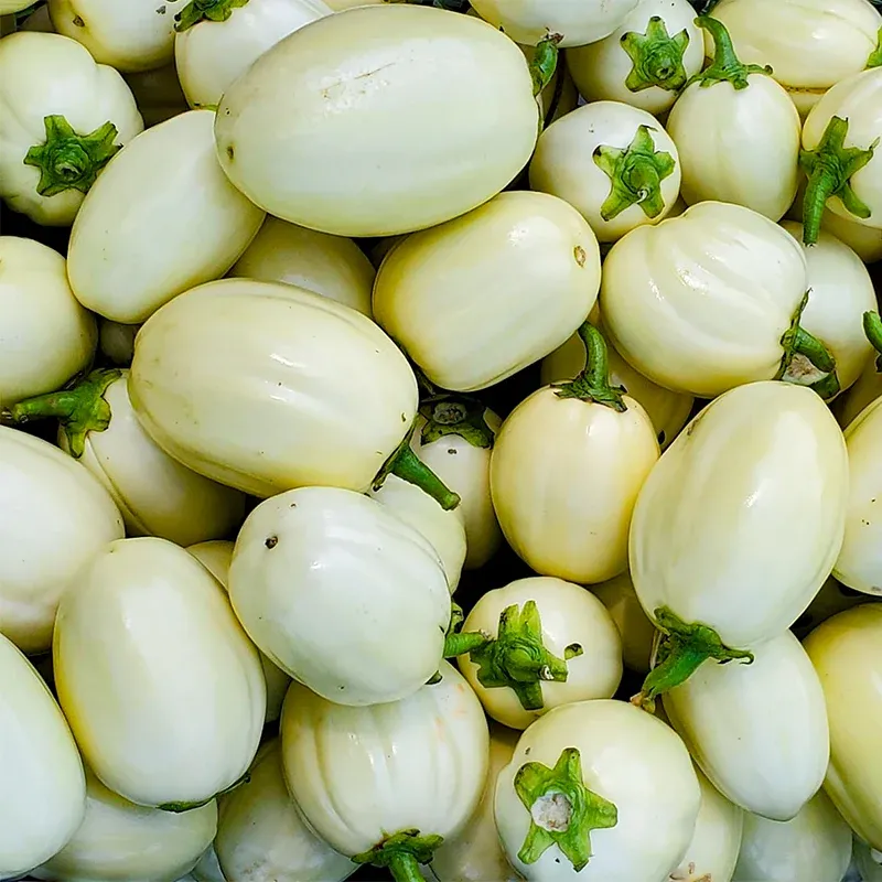 White Egg Plants