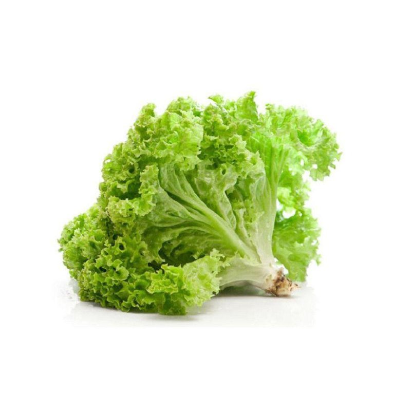 Lettuce