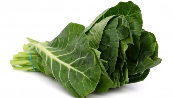 Collard Greens (Sukuma Wiki)