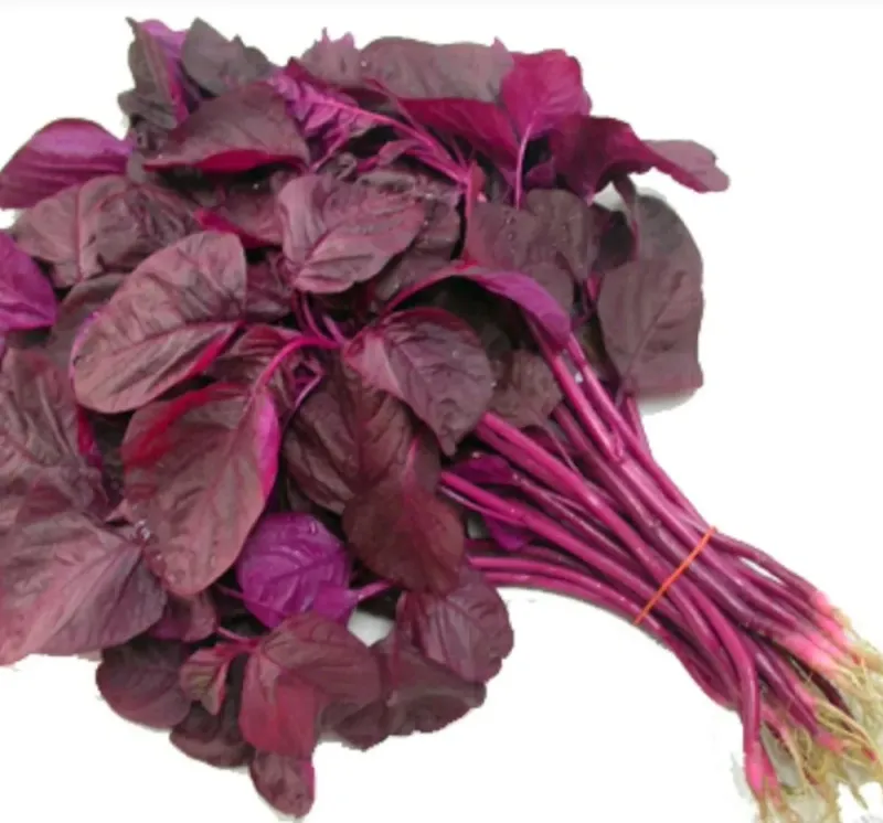 Red Amaranthus Leaves (Buga)