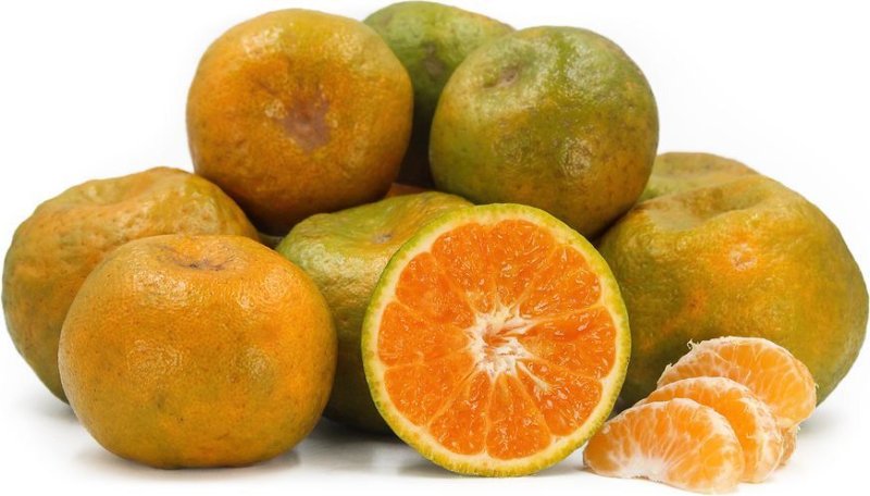 Tangerines (Mangada)