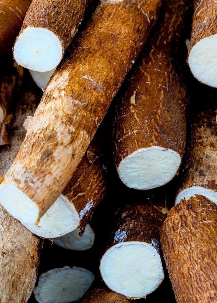 Cassava