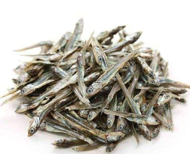 Silver Fish (Mukene)