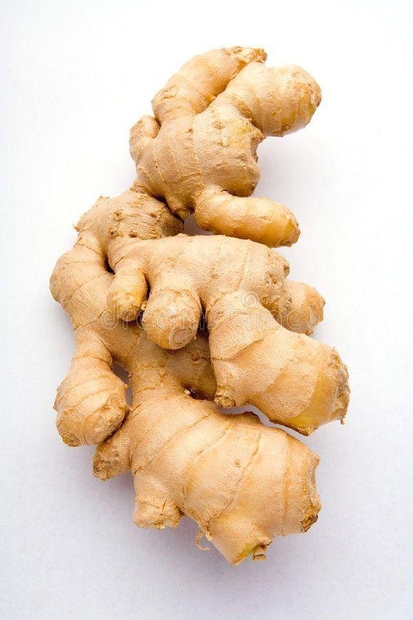 Ginger