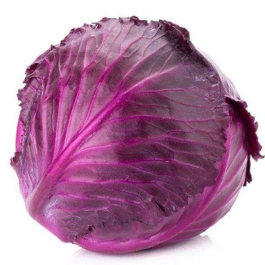 Purple Cabbage