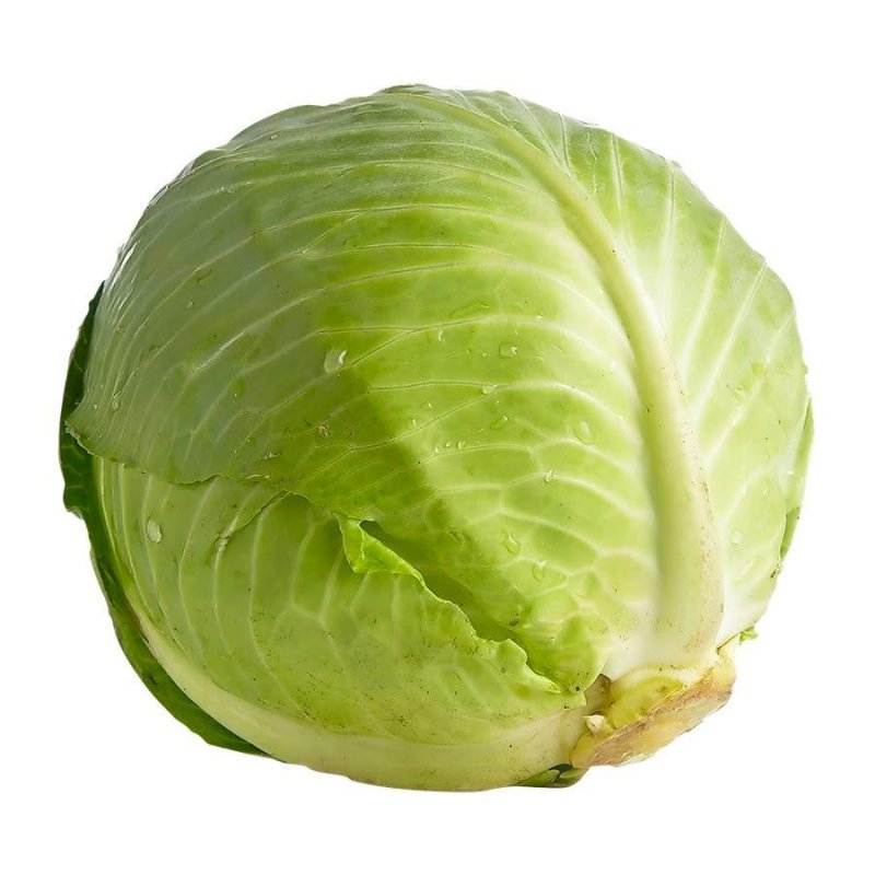 Green Cabbage