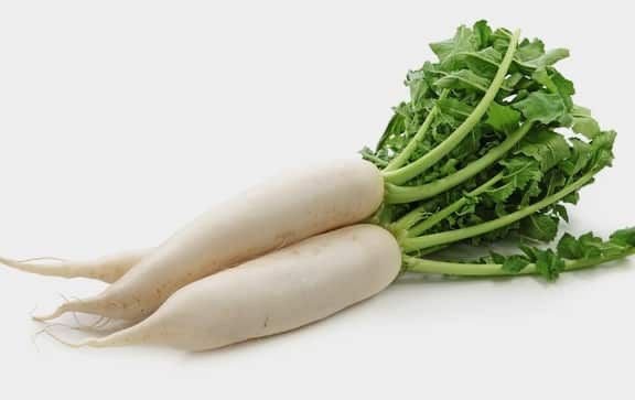 Radish