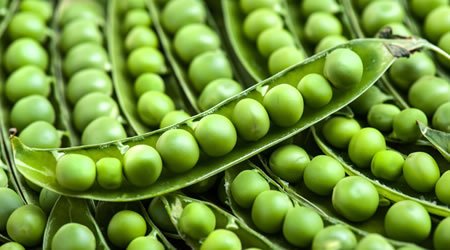 Fresh Cow Peas