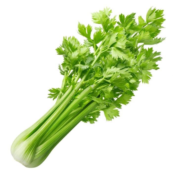 Celery