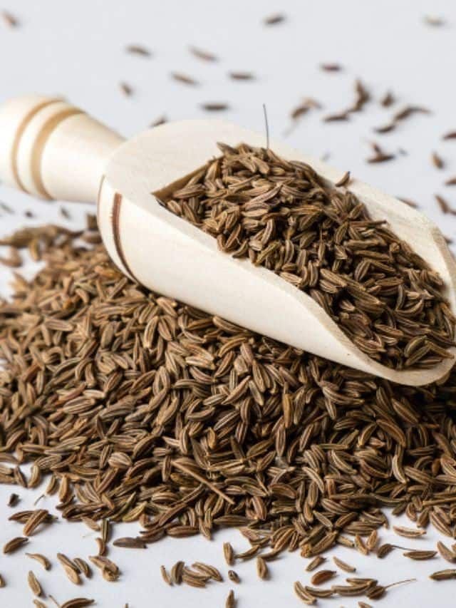 Cumin Seeds