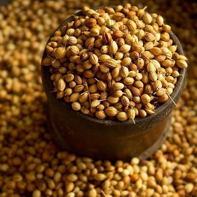 Rose Mary Seeds