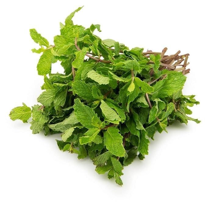 Spear Mint Leaves