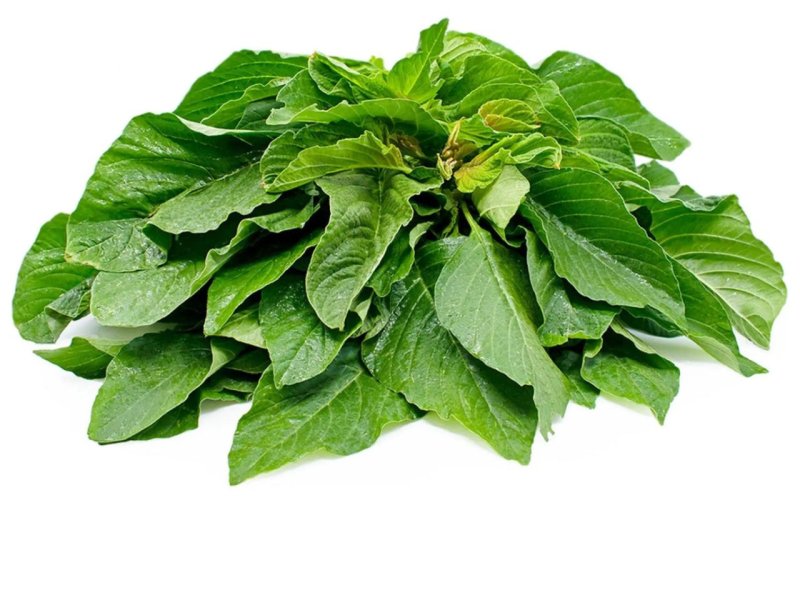 Dodo (Amaranth Greens)