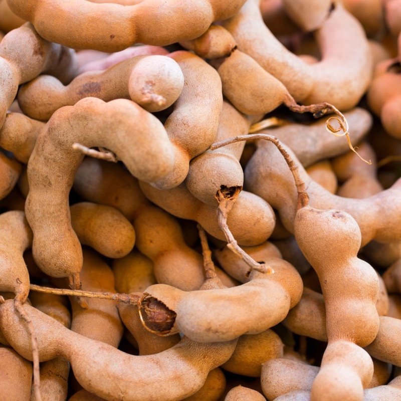 Tamarind
