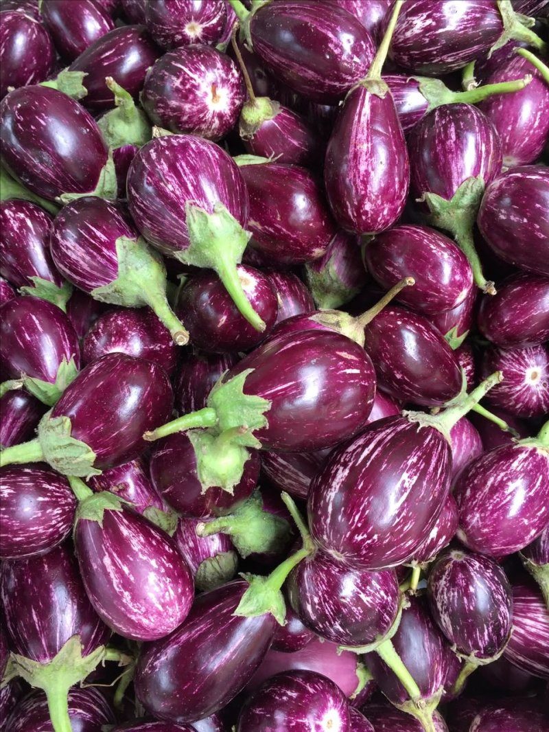 Small Eggplants