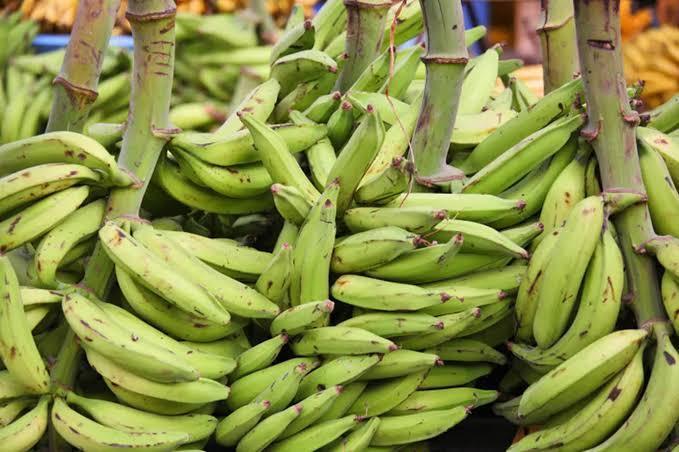 Plantain Gonja