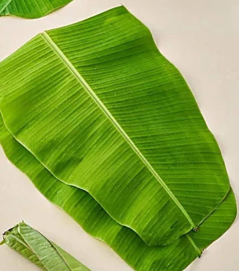 Banana Leaves