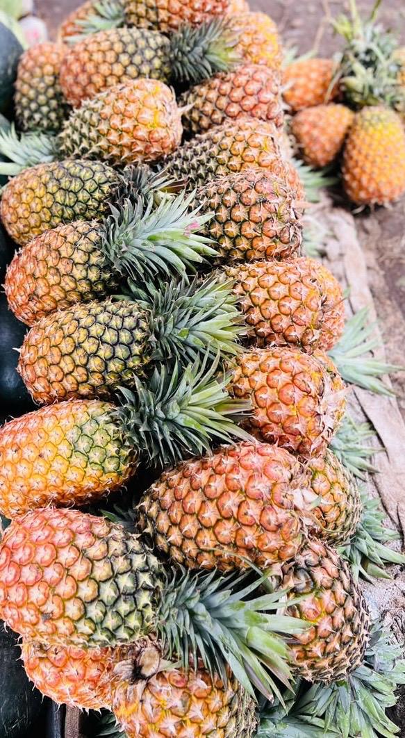 Pineapples