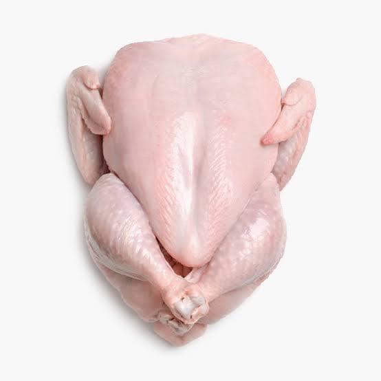 Broiler Chicken