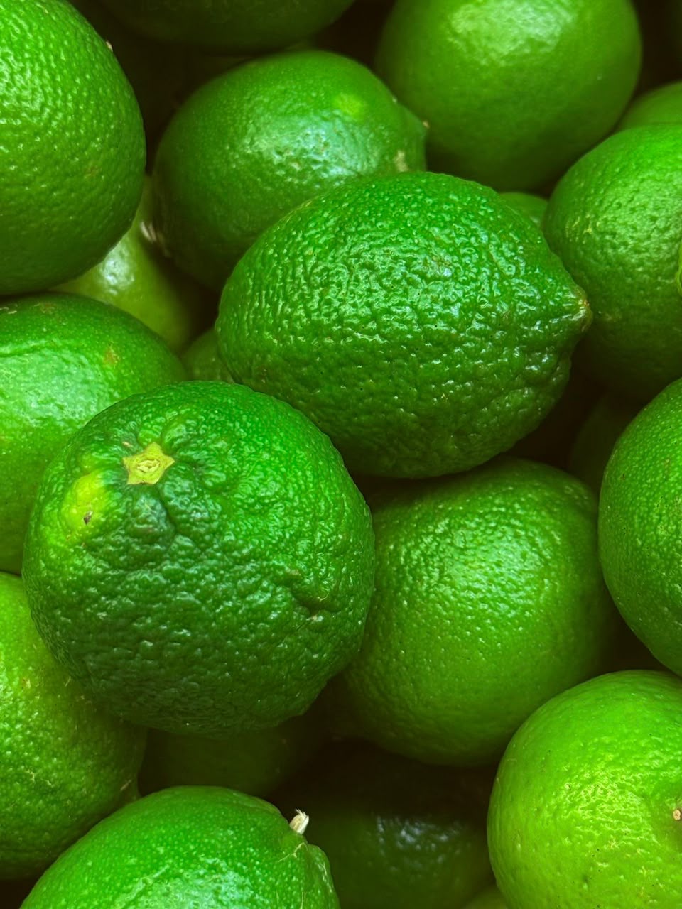 Limes