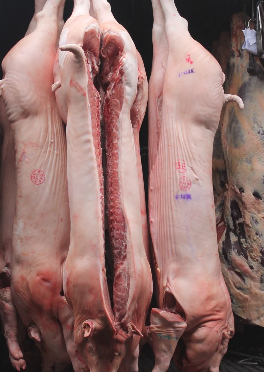 Pork