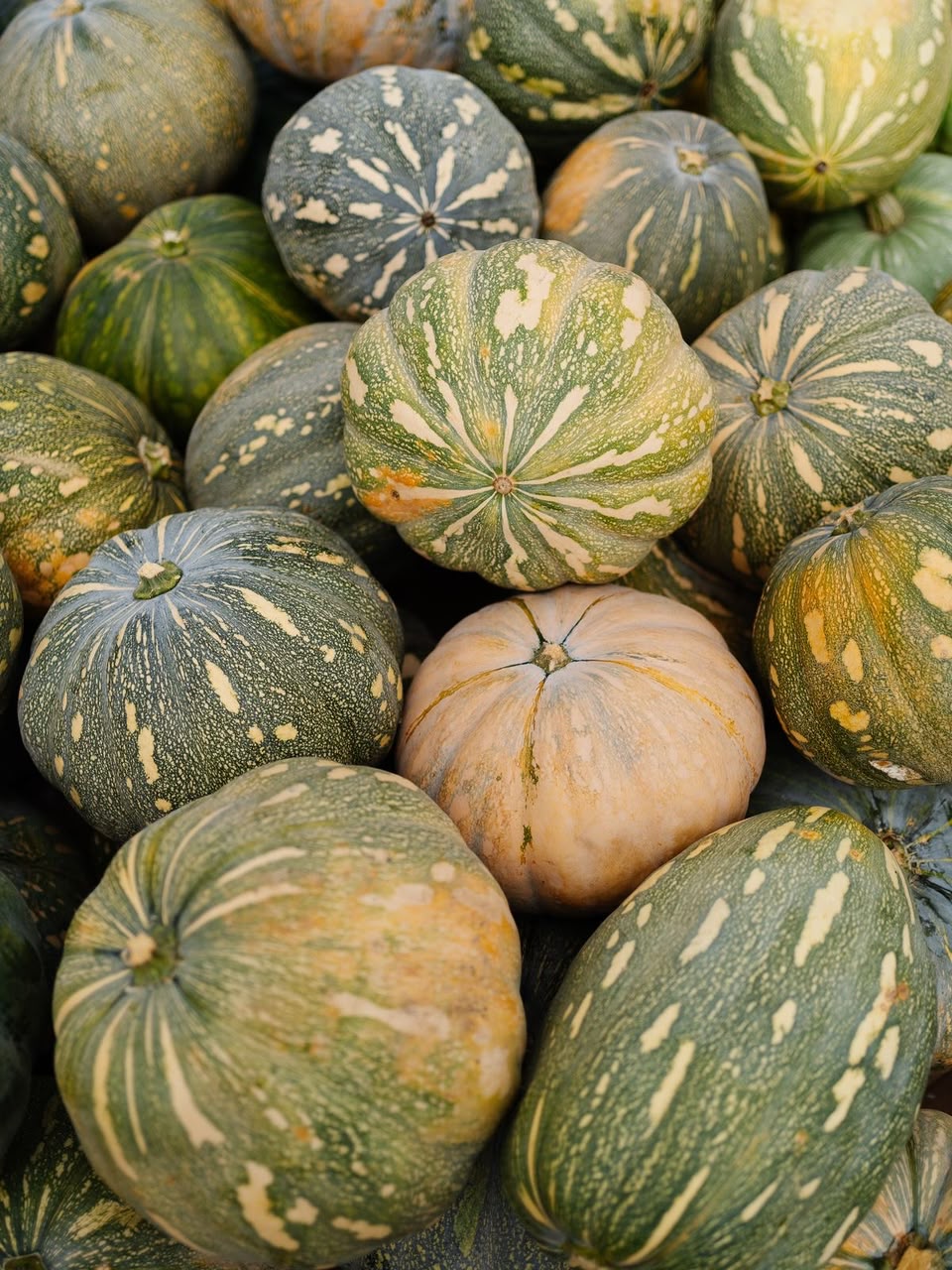 Pumpkins